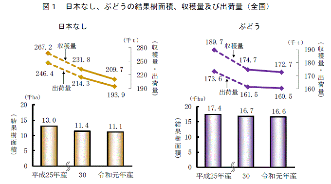 出典）農林水産省