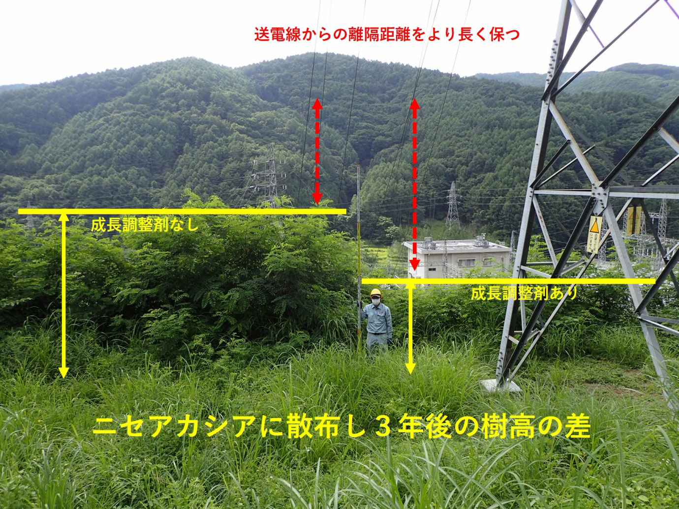 写真）中部電力株式会社