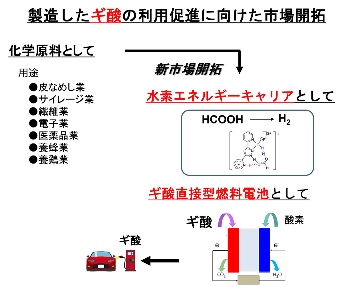 図）ギ酸の新規市場開拓について