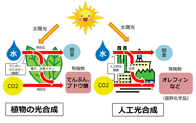 図）人工光合成の概念